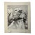 1940s Original Signed Graphite Illustration of Retriever With Grouse, 8.5 × 10 In. For Sale