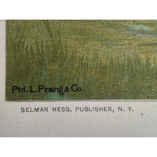 Victorian Late 19th Century Antique Louis Prang Tigress + Cubs Victorian Framed Aquatint Print For Sale - Image 3 of 6