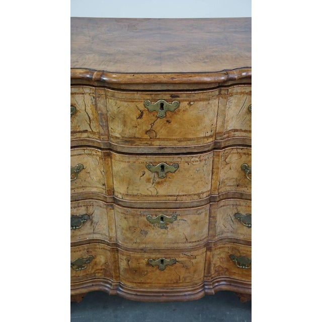 18th Century Baroque Organ-Curved Burr Walnut Wooden Chest of Drawers For Sale - Image 13 of 15