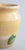 19th Century French Yellow Glazed Confit Pot For Sale In Houston - Image 6 of 9