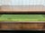 19th Century Victorian English Mahogany Chest of Drawers For Sale - Image 12 of 18
