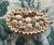 Vintage Palm Beach Style Oval Encrusted Shell Box For Sale - Image 10 of 16