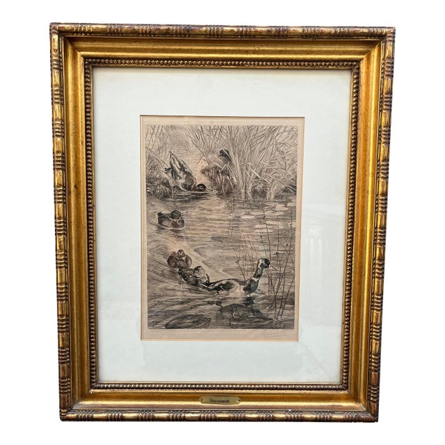 19th Century Félix Bracquemond Hand-Signed Etching "Ébats De Canards" in Custom Gilt Frame For Sale