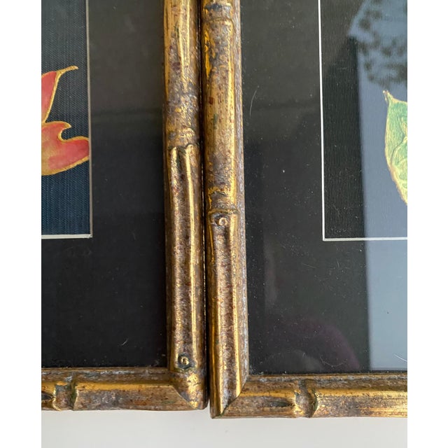 Vintage Lotus Botanical Prints, Gold Faux Bamboo Frames – Set of 3 For Sale - Image 11 of 12