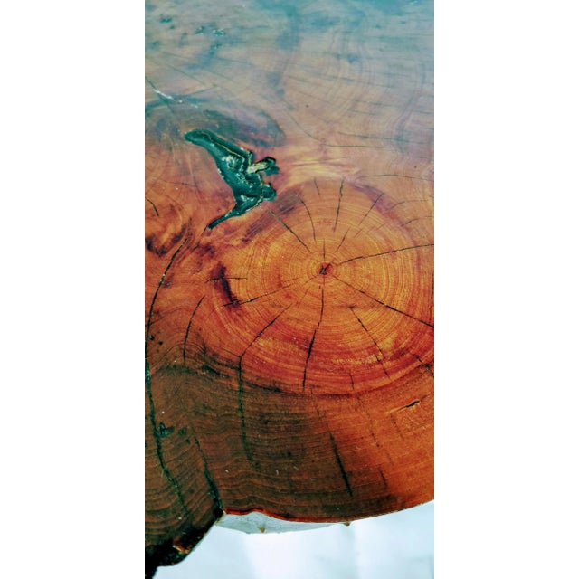 1960 Live Edge Cypress Side Table For Sale - Image 9 of 12