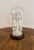 Antique Victorian Glass Lustre and Glass Dome, 1880, Set of 2 For Sale - Image 3 of 10