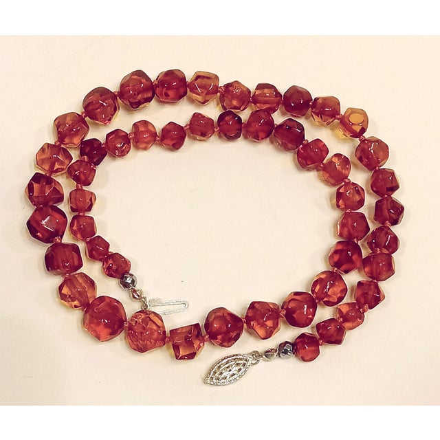 16" Graduated Faceted Baltic Amber Necklace With Sterling Silver Clasp For Sale - Image 11 of 12
