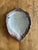 Vintage Italian Scagliola Artisan Made Pigmented Plaster Turtle Shell For Sale - Image 10 of 10