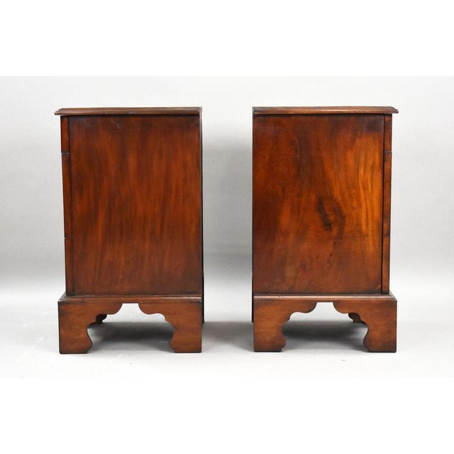 William IV Mahogany Bedsides, 1830, Set of 2 For Sale - Image 4 of 15