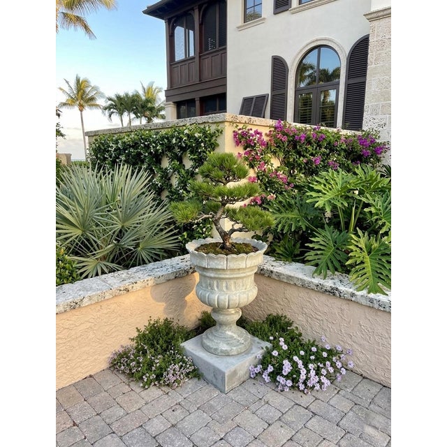 Stone Large Neoclassical Scalloped Green Marble Garden Urn Planter For Sale - Image 7 of 12