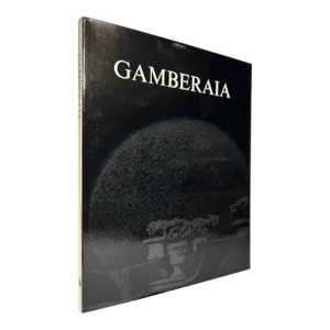 1970s Illustrated Folio, Balthazar Korab's Gamberaia - 1 Book