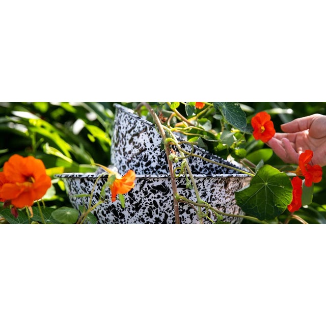 Crow Canyon Home Splatterware, Small Berry Colander in Black & White For Sale - Image 4 of 6