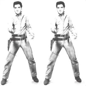Sunday B. Morning after Andy Warhol, Double Elvis, Framed