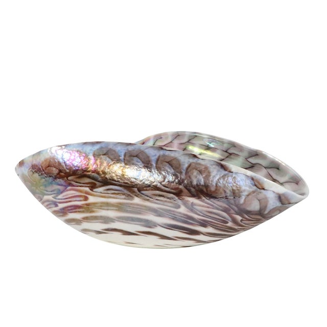 Mid-Century Modern Vintage Art Glass Shell Dish Fornace Ferro Vetro Artistco Murano C. 1970's For Sale - Image 3 of 14