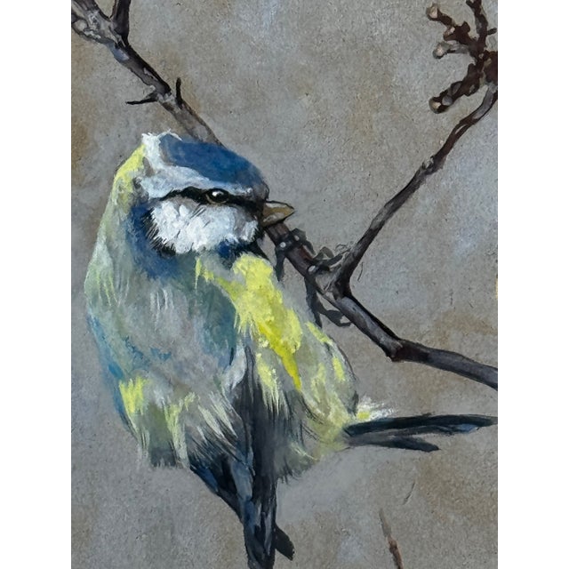 Wood Victorian Watercolour Painting Apple Blossom Eurasian Blue Tit Bird Ornithology by Arthur Wardle For Sale - Image 7 of 12