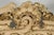 Large Antique Rokoko Style Frame, 1860 For Sale - Image 12 of 18