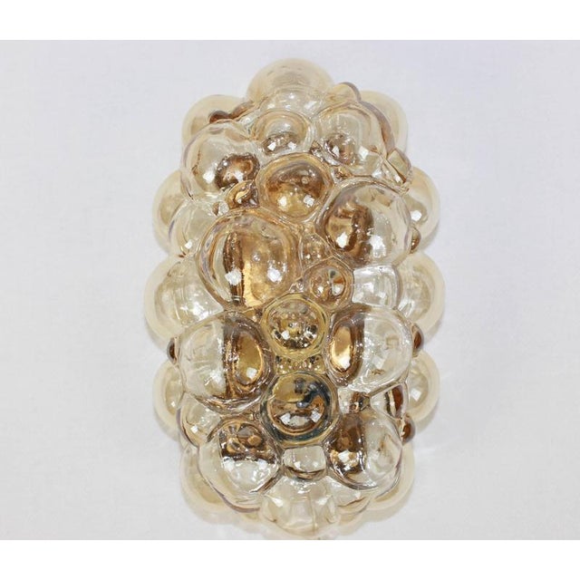 Brown Amber Bubble Glass Sconce by Helena Tynell for Limburg, Germany, 1960s For Sale - Image 8 of 16