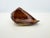 Vintage Hand-Carved Solid Wood Conch Shell Sculpture For Sale - Image 9 of 12