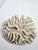 Coastal Antique Natural Brain Coral Specimen For Sale - Image 3 of 8