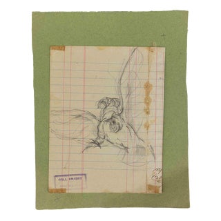 Luigi Galli, Anatomical Studies, 19th Century, Pencil on Paper For Sale