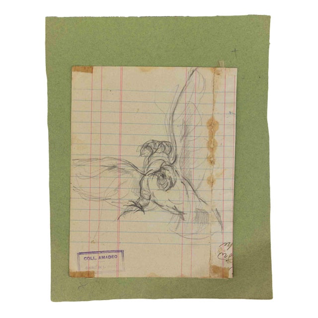 Luigi Galli, Anatomical Studies, 19th Century, Pencil on Paper For Sale