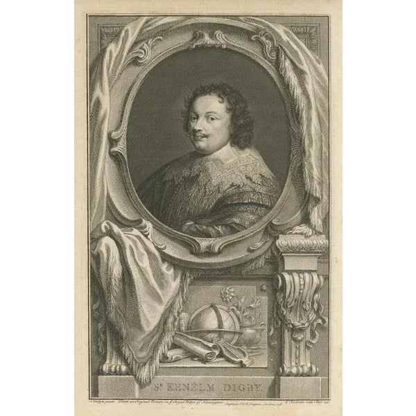 Jacobus Houbraken, Portrait of Sir Kenelm Digby, English Courtier and Diplomat, Print For Sale - Image 3 of 6