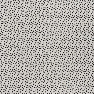 Sample - Schumacher Roxy Fabric in Black For Sale