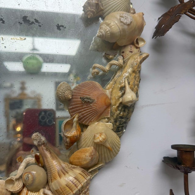 You can see the pretty scalloped edges of the antique mirror. The natural colored shells have been coated in something to...