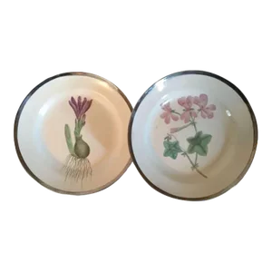 1810 English George III Pearlware Botanical Plates with Hand Painted Specimens & Silver Luster Borders - A Pair
