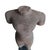 Reclaimed Khmer Torso Sculpture, Hand-Carved Sandstone, Thailand, 1930 For Sale - Image 9 of 11