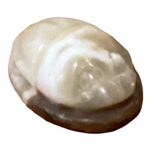 Vintage Hand Carved White Onyx Egyptian Scarab Beetle Paperweight