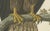 The Young Bald Eagle, 1770s, Paper For Sale - Image 3 of 9