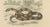 Oudart and Forget, Coral Snake and Egyptian Cobra, 1850s, Paper For Sale - Image 5 of 10