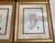Gold Set of 4 William Henry Harvey Seaweed For Sale - Image 8 of 12
