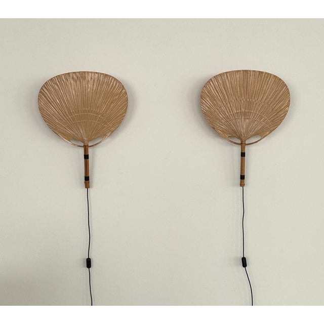 Large Organic Uchiwa Wall Sconces by Ingo Maurer for M Design, Germany, 1973, Set of 2 For Sale - Image 6 of 18