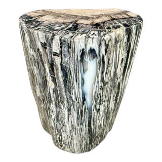 Andrianna Shamaris Minimalist Modern Organic Petrified Wood Side Table For Sale