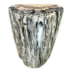 Andrianna Shamaris Minimalist Modern Organic Petrified Wood Side Table