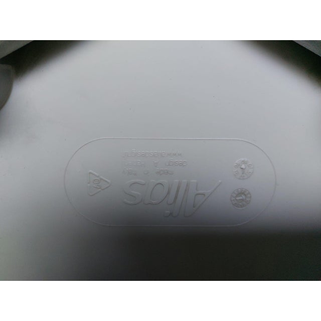 Segesta Chair by Alfredo Haberli for Alias For Sale - Image 9 of 18