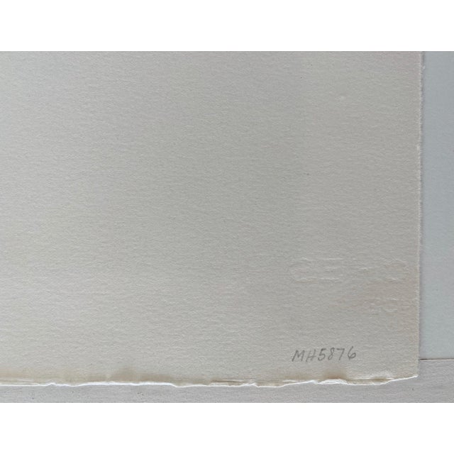 Printmaking Materials Efraim Fima, Chinese Israeli Modernist Still Life Lithograph Abstract Flowers in Vase For Sale - Image 7 of 10