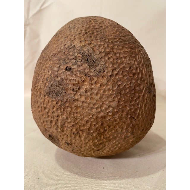 Wood Signed Portrait Bust by Famed Zimbabwe Sculptor, Mrewa Ngoni For Sale - Image 7 of 9