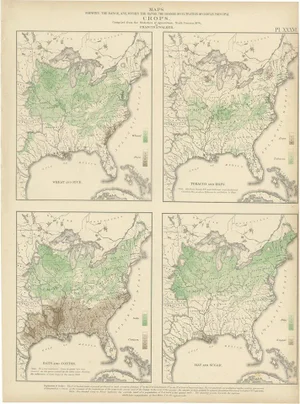 Antique Chart of US Crops, Wheat, Rice, Tobacco, Hops, and Oats, 1874