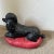 Mid-Century Modern Plaster-Painted Black Poodle on a Red Poof For Sale - Image 4 of 4