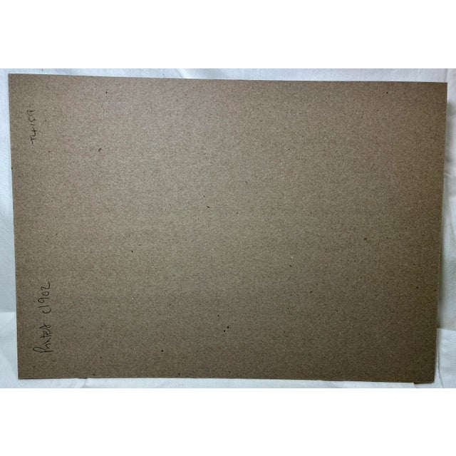 Antique Fish Print From England Featuring a Pike, Sharpchin Barracudina, Hatchfish, Pearlfish, Anchovy, Herring, Pilchard, Sprat & Shad -,Circa 1902 For Sale - Image 10 of 11