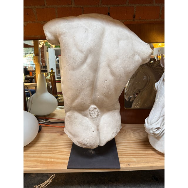 1960s Gaddi's Torso, Plaster Bust, Copy in Scale 1/1 For Sale - Image 5 of 9