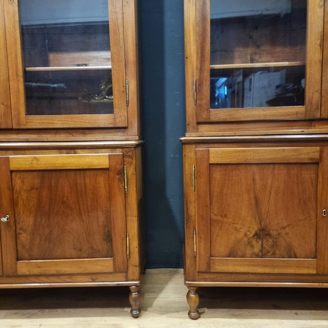 Brown Walnut Bookcases, 1840s, Set of 2 For Sale - Image 8 of 14