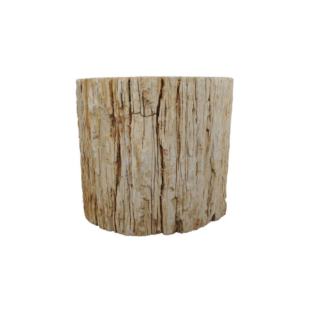 Contemporary Large Petrified Wood Side Table by Xyleia Petrified Wood For Sale - Image 3 of 7