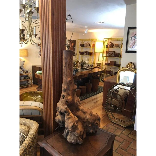 1960s Monumental Mid Century Driftwood Lamp For Sale - Image 9 of 13