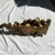 Wood Florentine Giltwood Wall Brackets Large 19th Century - A Pair For Sale - Image 7 of 12