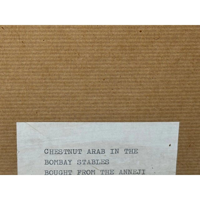 Circa Early 1900 English Victorian Oil Painting Purebred Red Chestnut Arab Horse in Bombay Stables I For Sale - Image 11 of 11