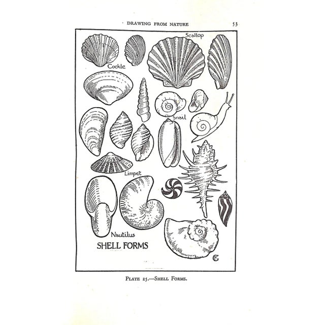 Paper "Drawing Design & Craftwork" 1948 Glass, Frederick J. For Sale - Image 7 of 12